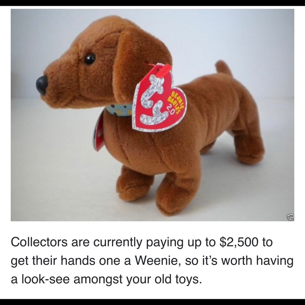 Ty Beanie Baby Dog named Weenie from 1995